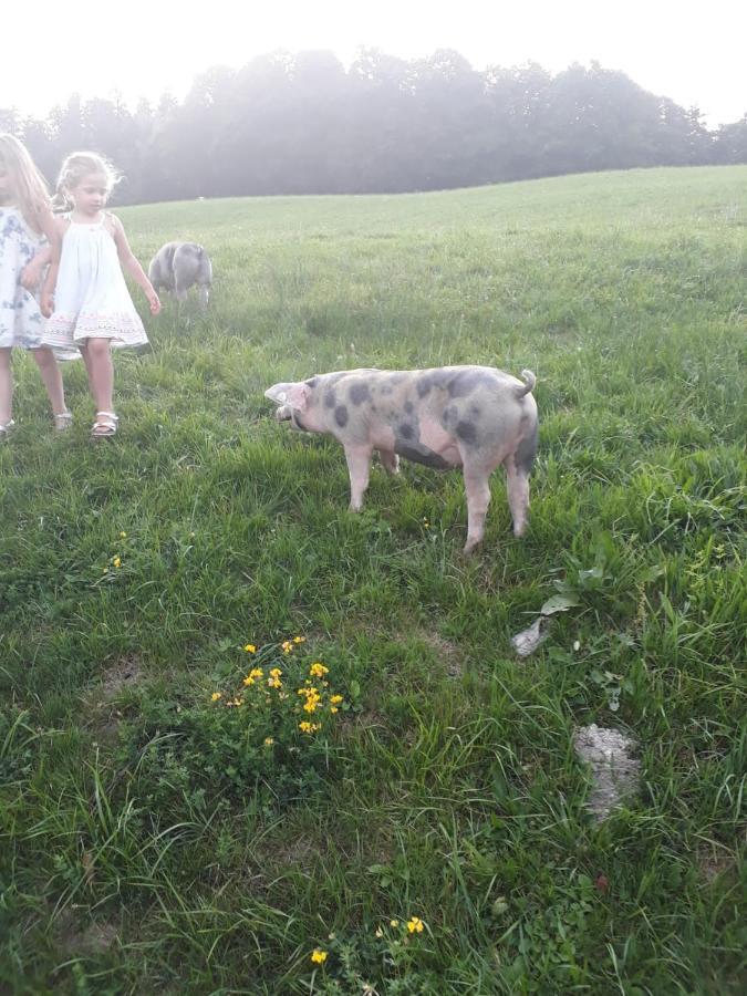 Appartamento Hoferbichlgut Saalfelden Esterno foto